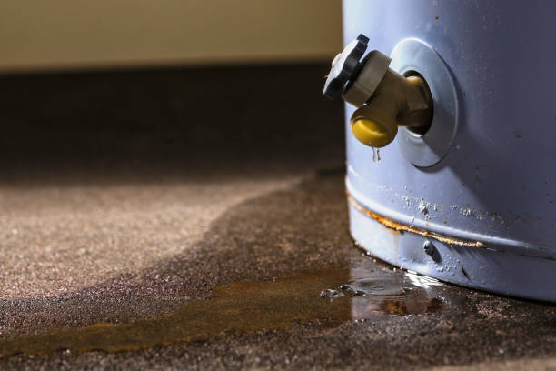 Best Local water damage restoration  in Hewitt, NJ