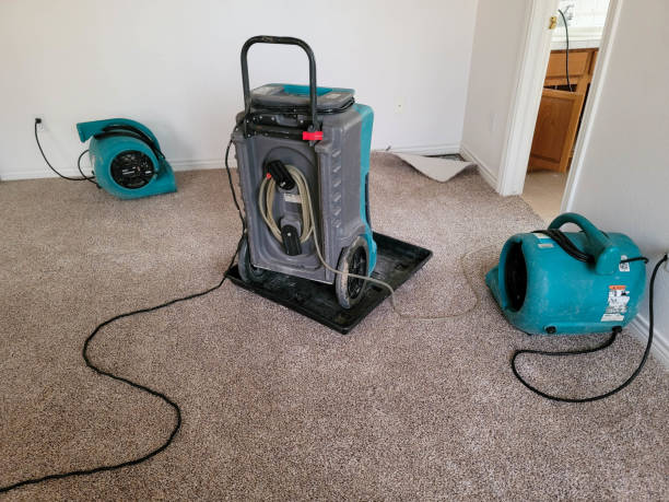 Best Residential water damage restoration  in Hewitt, NJ