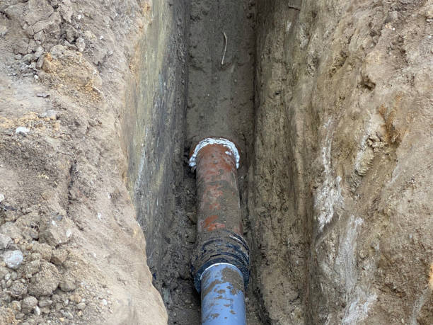 Best Professional water damage repair  in Hewitt, NJ