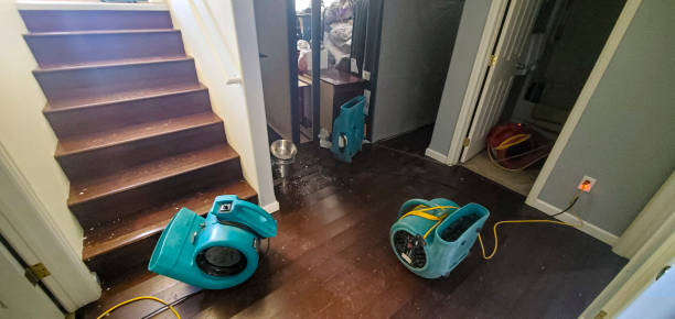 Best Fire Damage Restoration  in Hewitt, NJ