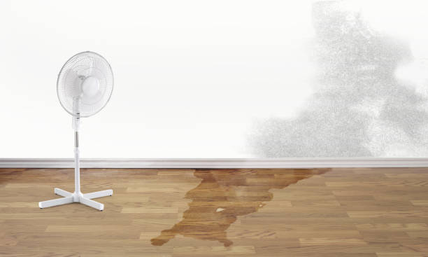 Best Commercial water damage restoration  in Hewitt, NJ