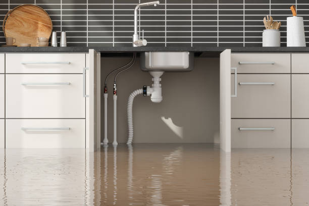Best Flood restoration services  in Hewitt, NJ