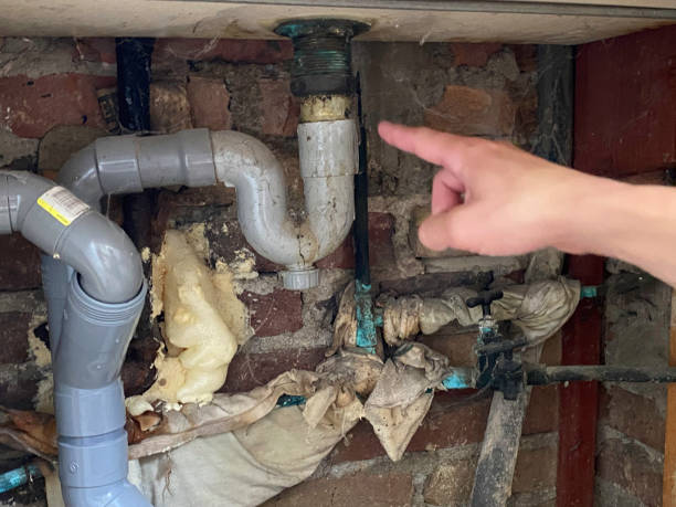 Best Flooded house restoration  in Hewitt, NJ