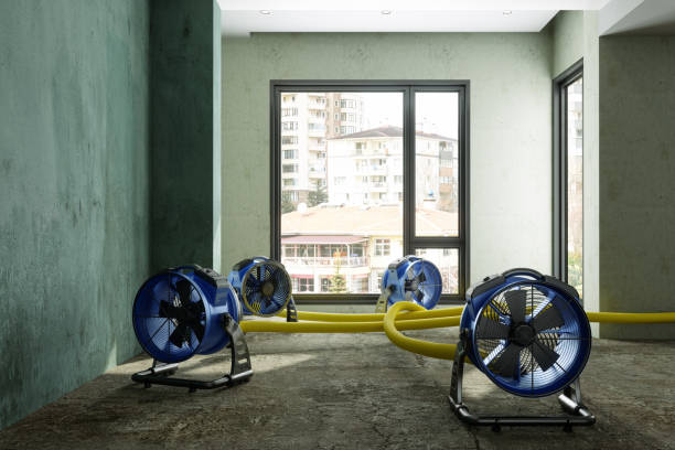 Best Local water damage restoration  in Hewitt, NJ