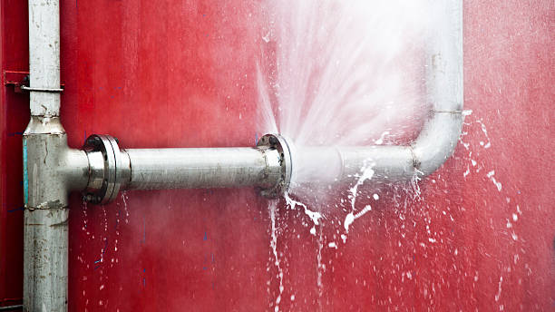 Best Flood restoration services  in Hewitt, NJ